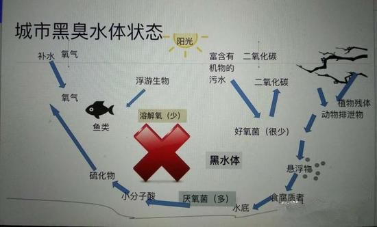 江蘇億元投資治污新技術(shù) 石墨烯能否治理黑臭水體？