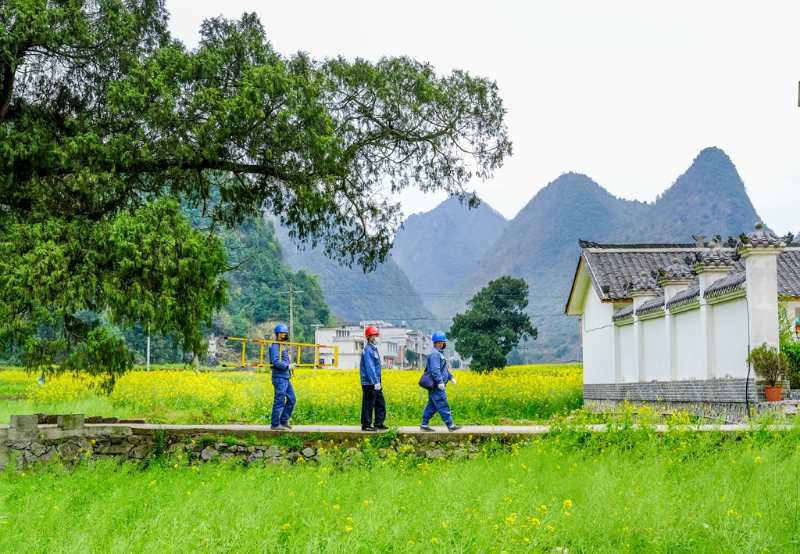 平塘供電局：“網(wǎng)格化”服務(wù)，護(hù)航“菜籃子”