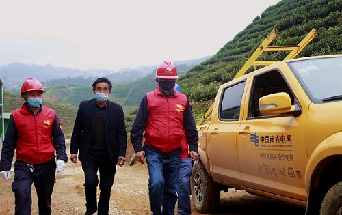 平塘供電局：“加減法”同構(gòu)服務(wù)，護(hù)航“貴州春茶第一壺”