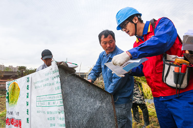 國網寧波市鄞州區(qū)供電公司：深入田間地頭，助力“三秋”保豐收