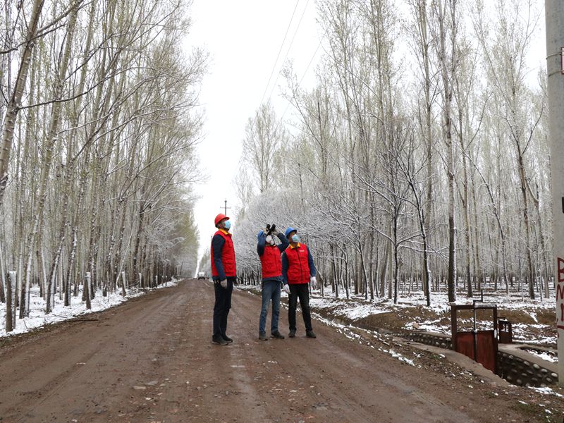 國網(wǎng)伊犁伊河供電公司四月飛雪，電力員工巡視線路保供電