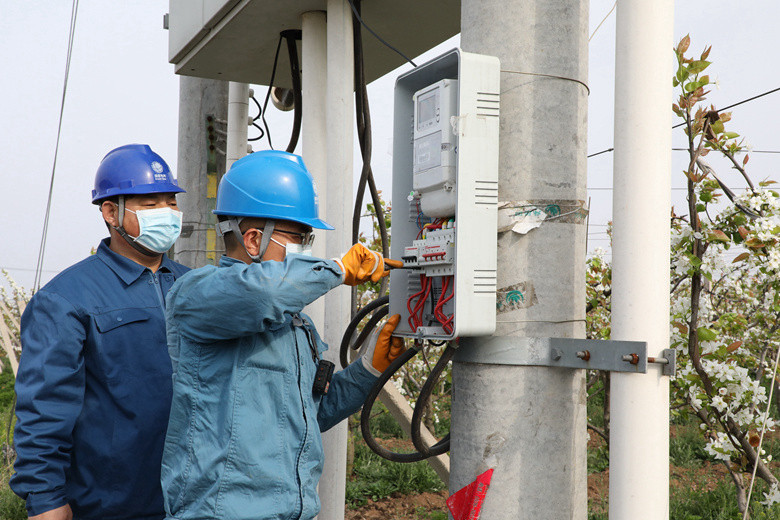 國網(wǎng)諸城市供電公司電力足，千畝梨園花正濃
