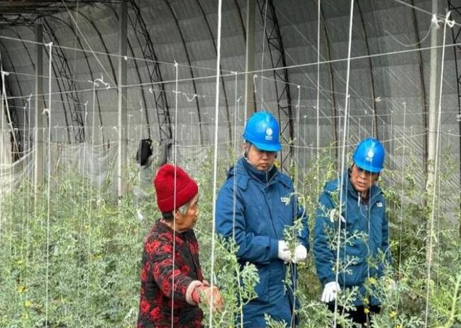山東惠民供電公司：走訪種植大棚，優(yōu)化農(nóng)業(yè)營(yíng)商環(huán)境