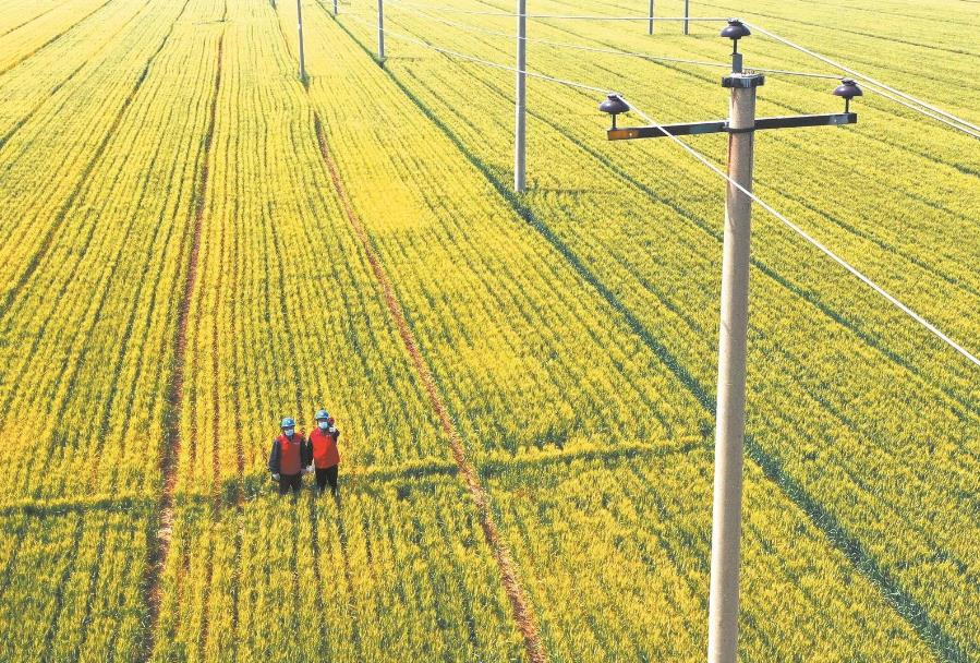 建立服務臺賬，精準了解村民用電需求
