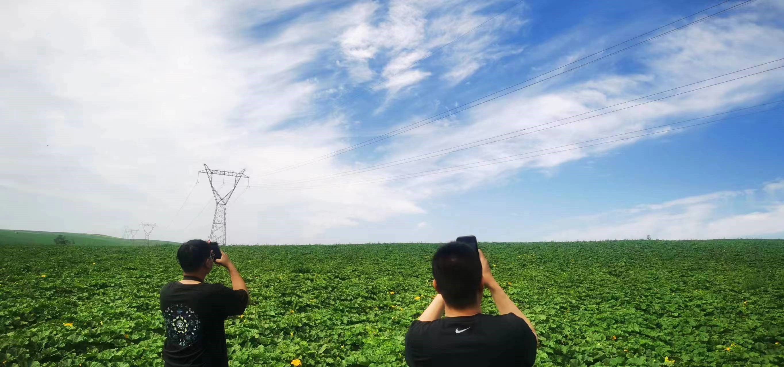 四子王輸變電管理處：防外力破壞，助安全運(yùn)行