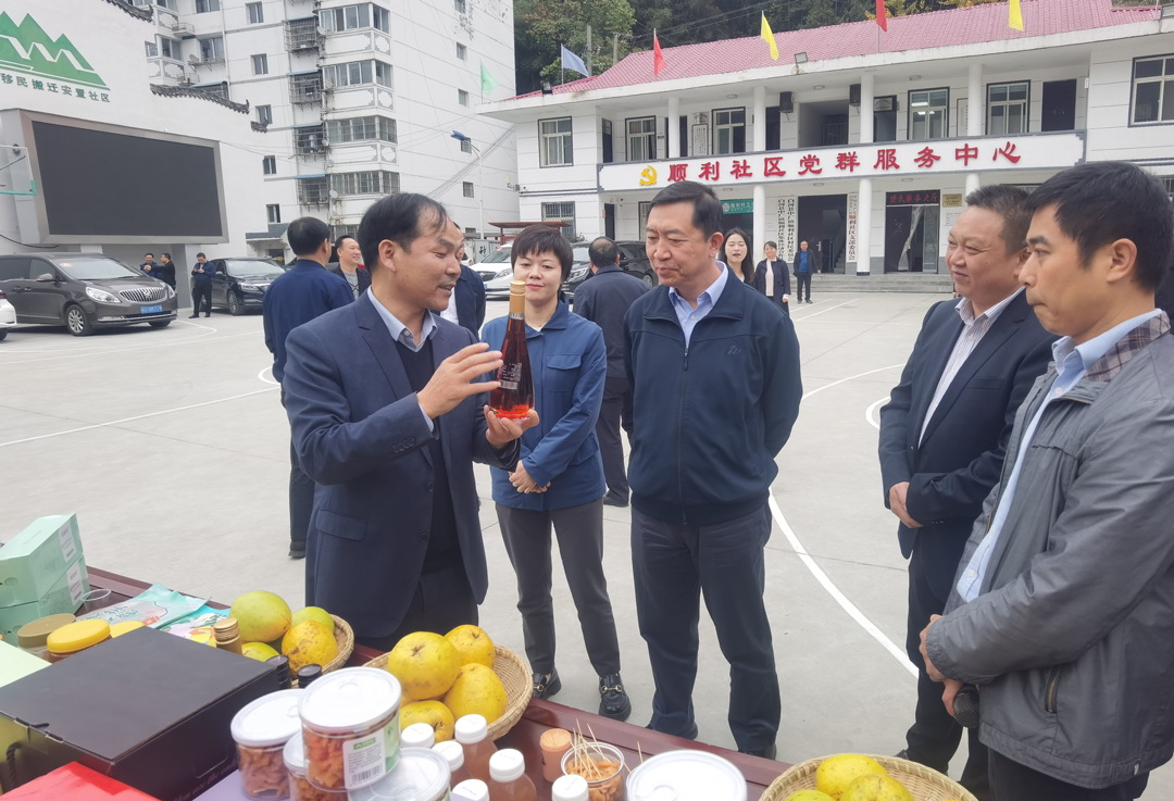 中核集團總經(jīng)理、黨組副書記顧軍赴陜西白河、旬陽調(diào)研鄉(xiāng)村振興工作