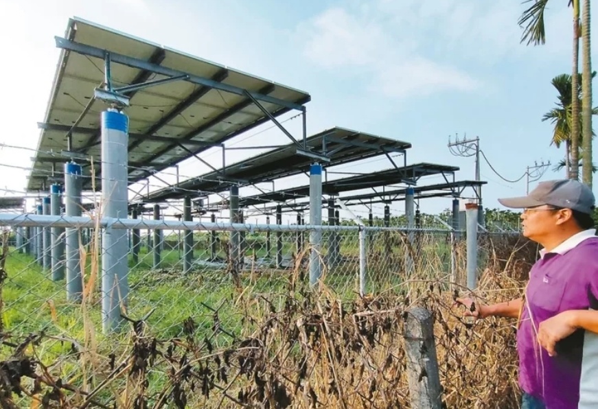 臺媒：農(nóng)田“種電”讓農(nóng)民苦不堪言，島內(nèi)面臨農(nóng)電兩失困境